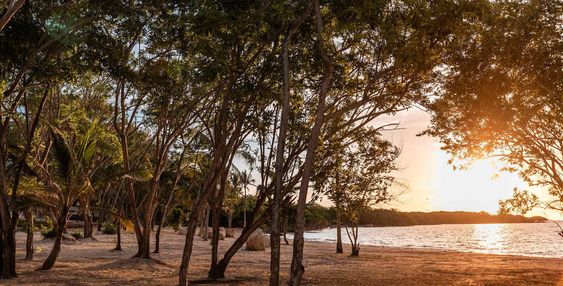 Photo of the hotel Sofitel Barú Calablanca Beach Resort: Sofital calablanca sustainability