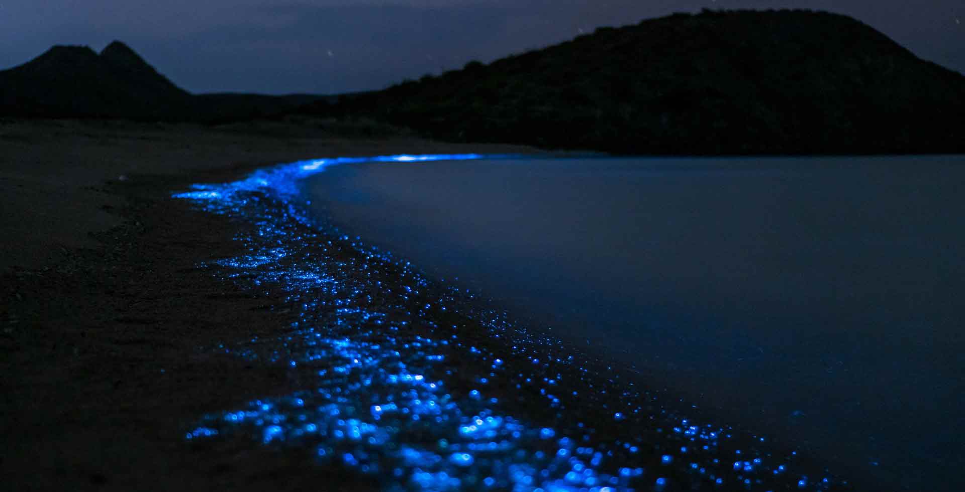 Tour de plâncton bioluminescente