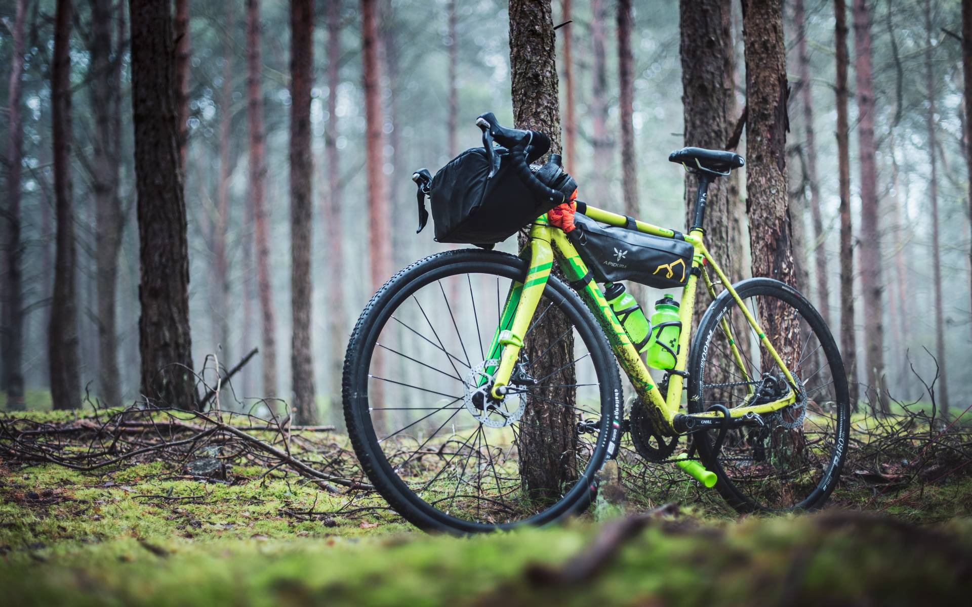 Excursion à vélo