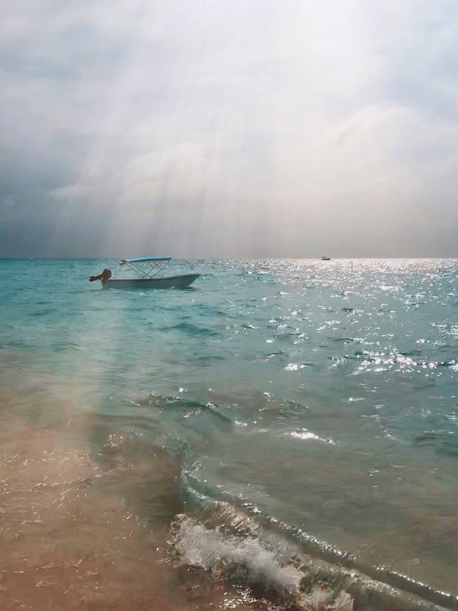 Photo of the hotel Sofitel Barú Calablanca Beach Resort: Michelle calderon h5czkdx1q5c unsplash